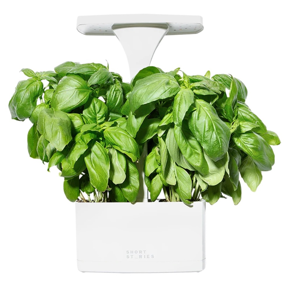 LED Indoor Planter by Short Stories New in Box